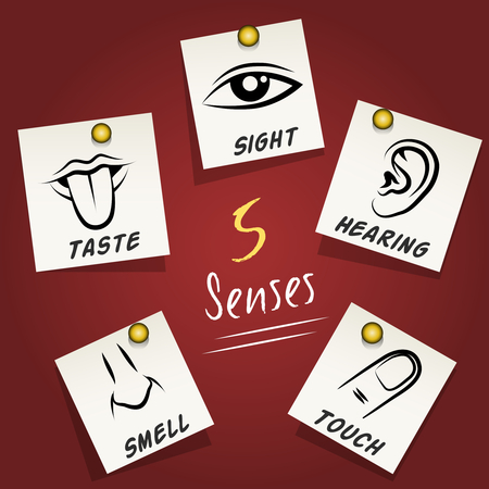 Set of senses icons on sticky notesのイラスト素材
