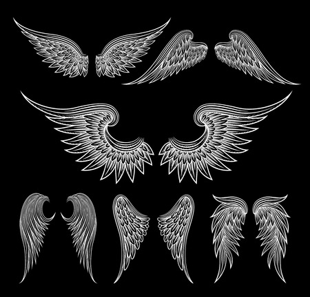 White wings on black backgroundのイラスト素材