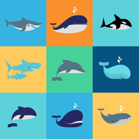 Vector set of whale, dolphin and shark icons. Grampus and fountain, underwater and natureのイラスト素材
