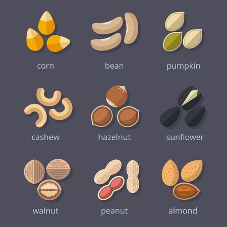 Nuts and seeds icon set. Almond and walnut, peanut and pumpkin, corn and bean. Vector illustrationのイラスト素材