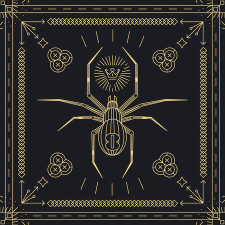 Thin line spider hipster label.  Insect animal, vintage and retro, golden frame. Vector illustrationのイラスト素材
