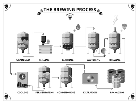 Brewery production process infographics template.  Fernentation and conditioning, filtration and packing illustrationのイラスト素材