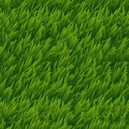 Green grass vector seamless texture. Lawn nature, meadow plant, field natural outdoor illustrationのイラスト素材