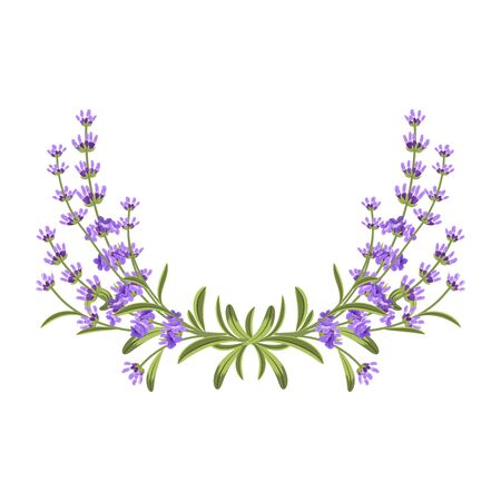 Lavender bunch. Vector floral frame. Floral flower, purple flower bunch, lavender flower illustrationのイラスト素材