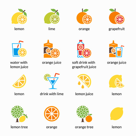 Orange, lemon, lime and grapefruit vector icons. Drink with citrus, alcohol with lemon and lemonade. Grapefruit juice, healthy juice, tropical juice beverage, sweet juice illustrationのイラスト素材