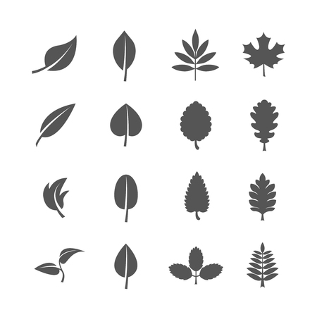 Leaves vector icons set. Leaf natural icon, sign leaf eco, organic leaf illustrationのイラスト素材