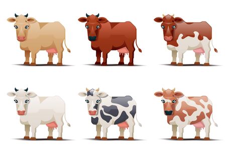 cows. Cows of different colors on white background. Spotted cow illustrationのイラスト素材