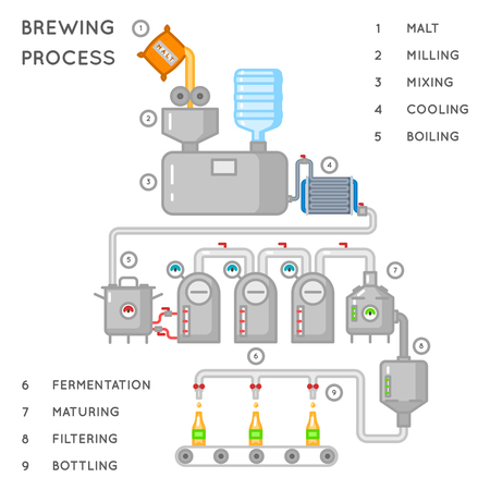 Beer process. Brewing infographic or brewery process. Alcohol brewery production, conveyor produce beer. Vector illustrationのイラスト素材