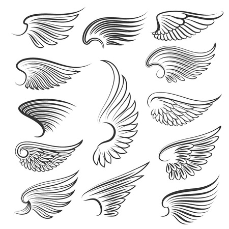 Vector wings isolated on white background. Cartoon tattoo, tribal and vintage heraldic wing set. Collection of wings birds illustrationのイラスト素材