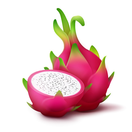 Whole and sliced dragon fruitのイラスト素材