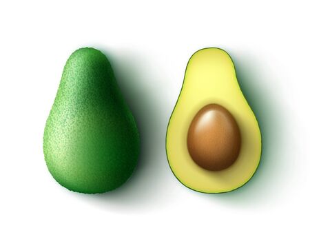Whole and half cut avocadoのイラスト素材