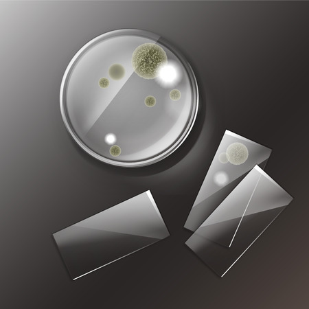 Petri dish with moldsのイラスト素材
