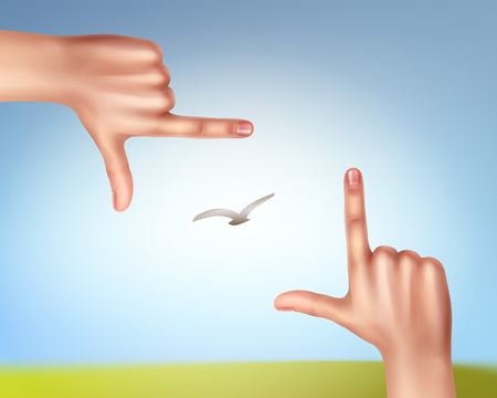 Vector illustration of hands making a frame of bird in sky. First-person view, isolated on backgroundのイラスト素材