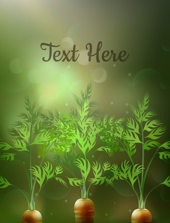 Vector illustration of young carrot growing in soil with space for text. Closeup, isolated on backgroundのイラスト素材