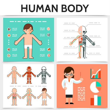 Flat human anatomy square concept with internal organs skeletal resperatory muscular circulatory nervous systems isolated vector illustrationのイラスト素材