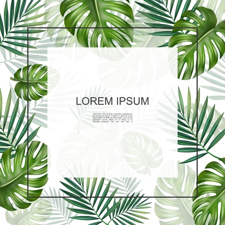 Realistic tropical plants floral card with frame for text monstera and palm natural leaves vector illustrationのイラスト素材