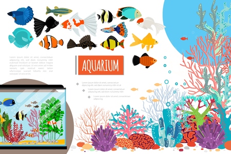Flat aquarium elements composition with exotic colorful fishes corals seaweed stones and water bubbles vector illustrationのイラスト素材