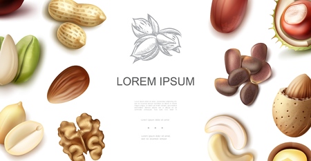 Realistic natural nuts concept with cashew walnut chestnut pistachio almond peanut hazelnut pecan cedar nuts vector illustrationのイラスト素材