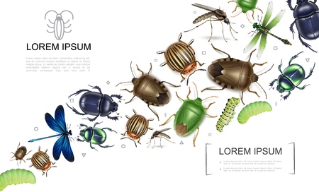 Realistic insects colorful collection with mosquito scarab and dung bugs colorado potato dragonflies caterpillars vector illustrationのイラスト素材