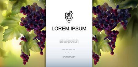 Realistic organic fresh grapes template with place for text and bunches of ripe healthy red grapes on blurred background vector illustrationのイラスト素材