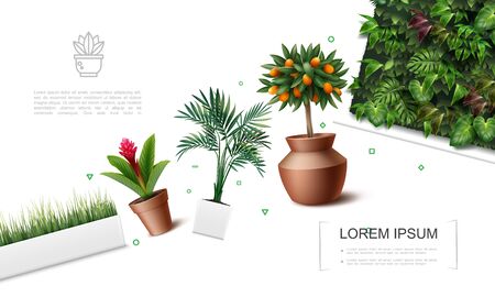 Realistic beautiful plants template with red ginger flower palm leaves kumquat tree grass in flowerpots and green wall with tropical leaves vector illustrationのイラスト素材