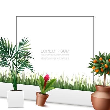 Beautiful home plants colorful template with frame for text palm leaves red ginger flower kumquat tree grass in pots in realistic style vector illustrationのイラスト素材