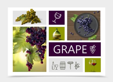Realistic grapes composition with white red purple grapes bottle and glasses of wine and winemaking linear icons vector illustrationのイラスト素材