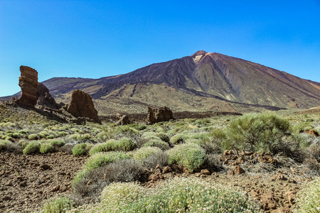 The Teide National Park in Tenerife. A great contrast to the barren stone and volcanic landscape and the green plants.の写真素材