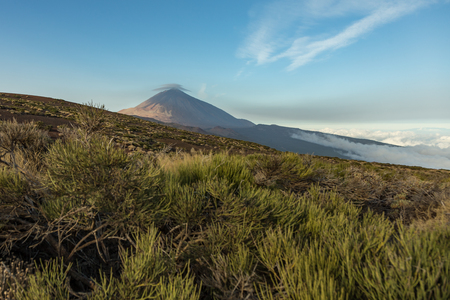 Mountain Teide with white snow spots, partly covered by the clouds. Bright blue sky. Teide National Park, Tenerife, Canary Islands, Spain.の写真素材