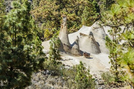 Amazing lunar landscape with fantastic rock formations Paisaje Lunar. Canarian pine forest, clear...