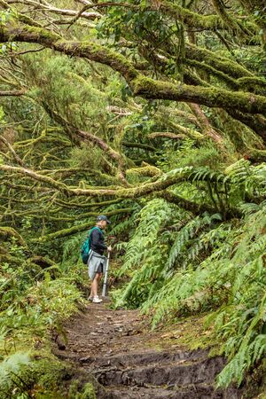 A young traveler in the relic forest. Slopes of the ancient Anaga mountain range on the island of...