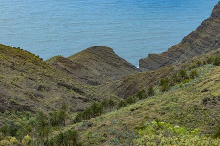 Parque Natural Majona. Northeastern part of La Gomera Island. Old volcanic mountains covered by...