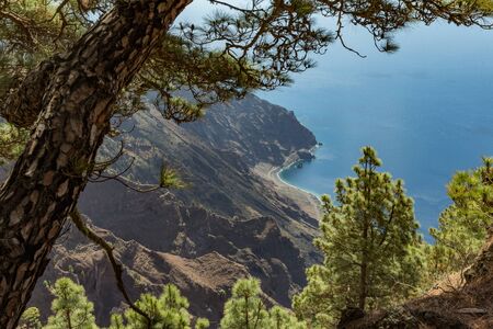 Mirador de Las Playas located in pine tree forest on El Hierro island. Spectacular views from the point above the clouds. Canary islands, Spainの写真素材