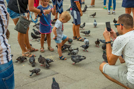 St. Mark Square, VENICE, ITALY - August 02, 2019: Warm sunny summer day. Numerous tourists are photographed with city pigeons. Children frolic and try to catch and play with birds.のeditorial素材