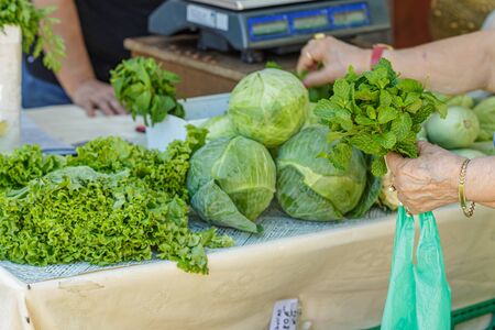 Festive agricultural market. One of the counters with fresh vegetables is zucchini, cabbage, salad, cilantro and much more. The owner of the counter serves customers.の写真素材