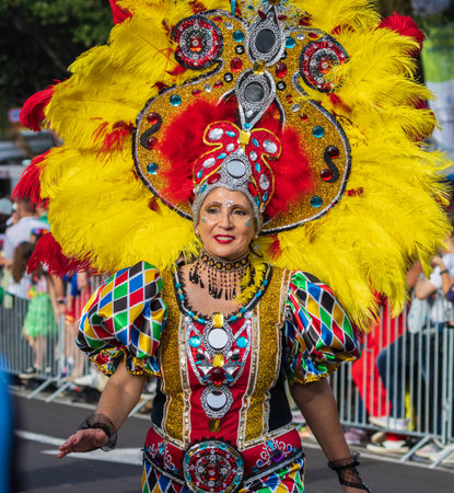 SANTA CRUZ DE TENERIFE, SPAIN - FEBRUARY 13, 2024: The Coso parade, Cavalcada - along the Avenida de Anaga, official end of Carnival. Amazing warm evening, joyful people in carnival costumes have fun.のeditorial素材