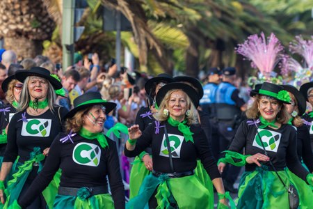 SANTA CRUZ DE TENERIFE, SPAIN - FEBRUARY 13, 2024: The Coso parade, Cavalcada - along the Avenida de Anaga, official end of Carnival. Amazing warm evening, joyful people in carnival costumes have fun.のeditorial素材
