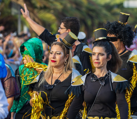 SANTA CRUZ DE TENERIFE, SPAIN - FEBRUARY 13, 2024: The Coso parade, Cavalcada - along the Avenida de Anaga, official end of Carnival. Amazing warm evening, joyful people in carnival costumes have fun.のeditorial素材