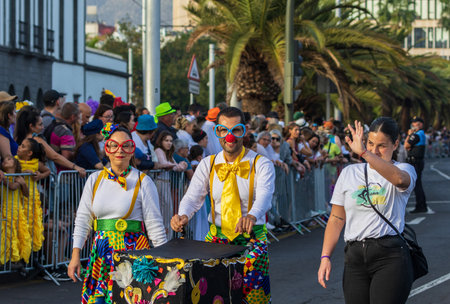 SANTA CRUZ DE TENERIFE, SPAIN - FEBRUARY 13, 2024: The Coso parade, Cavalcada - along the Avenida de Anaga, official end of Carnival. Amazing warm evening, joyful people in carnival costumes have fun.のeditorial素材