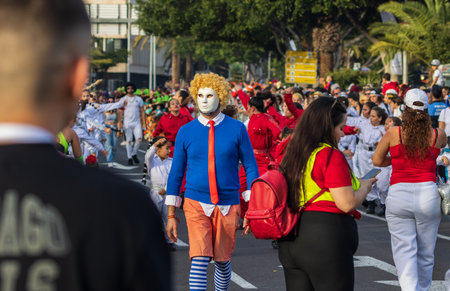 SANTA CRUZ DE TENERIFE, SPAIN - FEBRUARY 13, 2024: The Coso parade, Cavalcada - along the Avenida de Anaga, official end of Carnival. Amazing warm evening, joyful people in carnival costumes have fun.のeditorial素材