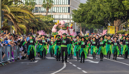 SANTA CRUZ DE TENERIFE, SPAIN - FEBRUARY 13, 2024: The Coso parade, Cavalcada - along the Avenida de Anaga, official end of Carnival. Amazing warm evening, joyful people in carnival costumes have fun.のeditorial素材