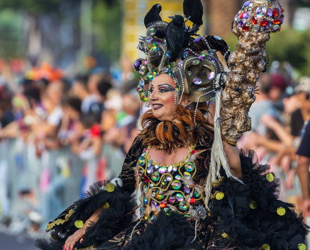 SANTA CRUZ DE TENERIFE, SPAIN - FEBRUARY 13, 2024: The Coso parade, Cavalcada - along the Avenida de Anaga, official end of Carnival. Amazing warm evening, joyful people in carnival costumes have fun.のeditorial素材