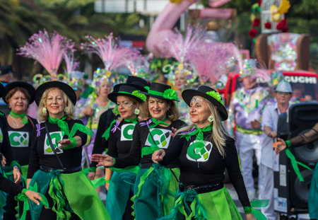 SANTA CRUZ DE TENERIFE, SPAIN - FEBRUARY 13, 2024: The Coso parade, Cavalcada - along the Avenida de Anaga, official end of Carnival. Amazing warm evening, joyful people in carnival costumes have fun.のeditorial素材