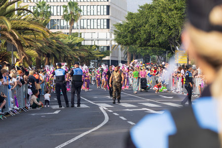SANTA CRUZ DE TENERIFE, SPAIN - FEBRUARY 13, 2024: The Coso parade, Cavalcada - along the Avenida de Anaga, official end of Carnival. Amazing warm evening, joyful people in carnival costumes have fun.のeditorial素材