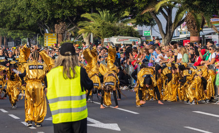 SANTA CRUZ DE TENERIFE, SPAIN - FEBRUARY 13, 2024: The Coso parade, Cavalcada - along the Avenida de Anaga, official end of Carnival. Amazing warm evening, joyful people in carnival costumes have fun.のeditorial素材