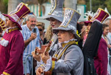 SANTA CRUZ DE TENERIFE, SPAIN - FEBRUARY 13, 2024: The Coso parade, Cavalcada - along the Avenida de Anaga, official end of Carnival. Amazing warm evening, joyful people in carnival costumes have fun.のeditorial素材