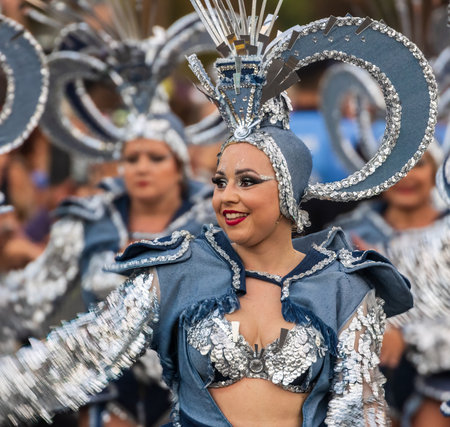 SANTA CRUZ DE TENERIFE, SPAIN - FEBRUARY 13, 2024: The Coso parade, Cavalcada - along the Avenida de Anaga, official end of Carnival. Amazing warm evening, joyful people in carnival costumes have fun.のeditorial素材
