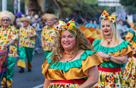 SANTA CRUZ DE TENERIFE, SPAIN - FEBRUARY 13, 2024: The Coso parade, Cavalcada - along the Avenida de Anaga, official end of Carnival. Amazing warm evening, joyful people in carnival costumes have fun.のeditorial素材