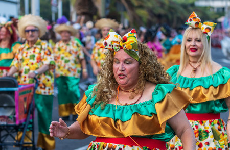 SANTA CRUZ DE TENERIFE, SPAIN - FEBRUARY 13, 2024: The Coso parade, Cavalcada - along the Avenida de Anaga, official end of Carnival. Amazing warm evening, joyful people in carnival costumes have fun.のeditorial素材