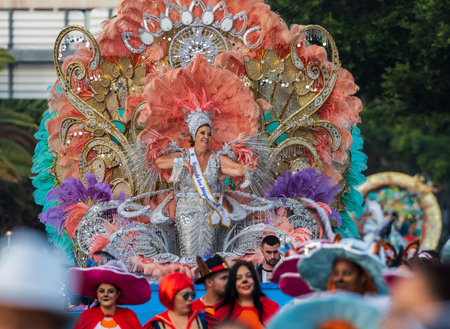 SANTA CRUZ DE TENERIFE, SPAIN - FEBRUARY 13, 2024: The Coso parade, Cavalcada - along the Avenida de Anaga, official end of Carnival. Amazing warm evening, joyful people in carnival costumes have fun.のeditorial素材